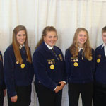 Images from FFA competitions.