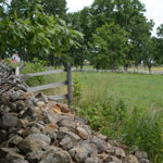 Images from our trip to Gettysburg.